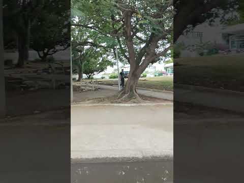 Cienfuegos es una de las ciudades más importantes de Cuba