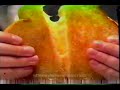 2011 Kraft Singles American Cheese Commercial Bad Video