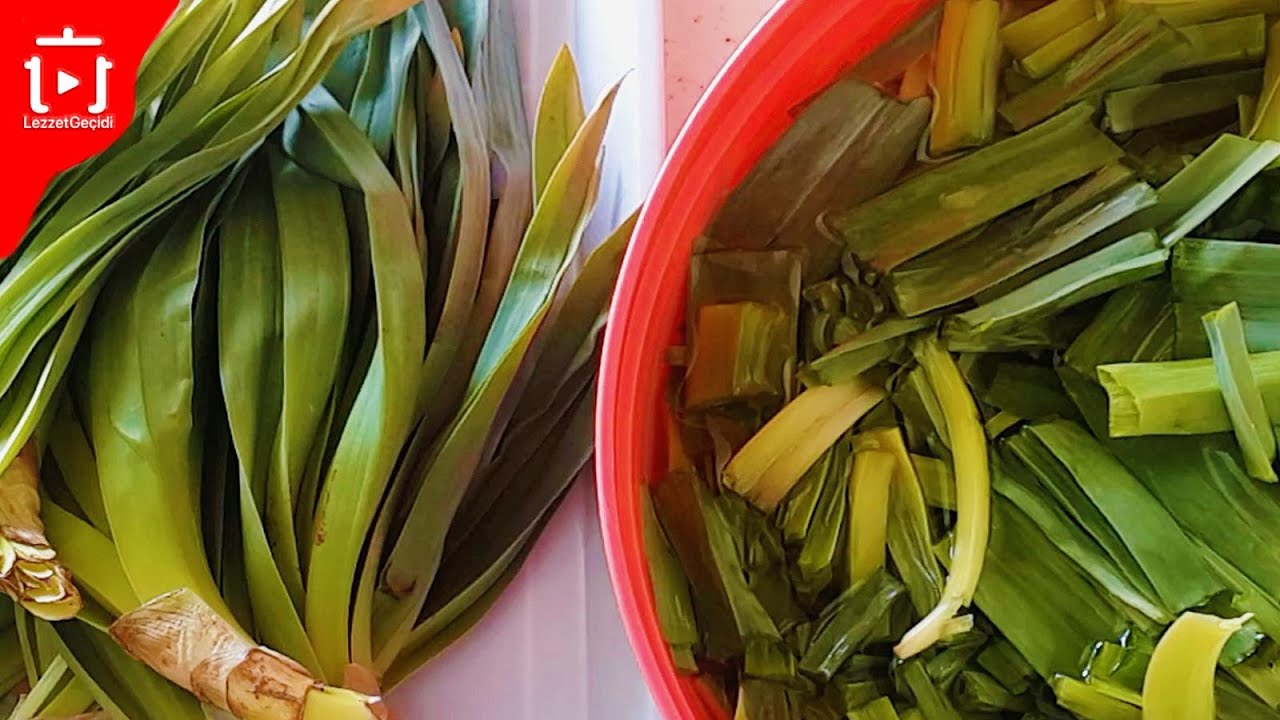 Çiriş Otu Yemeği Nasıl Yapılır Faydaları Nelerdir ?Çiriş Otu Nasıl Pişirilir ?Ot Kavurması ,Gulik