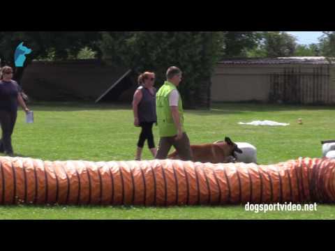 1. DMV Championat - Jarosslav Kosák - Fripon Olbramovický Kvítek