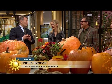Programledarna i prestigefylld pumpatävling - Nyhetsmorgon (TV4)