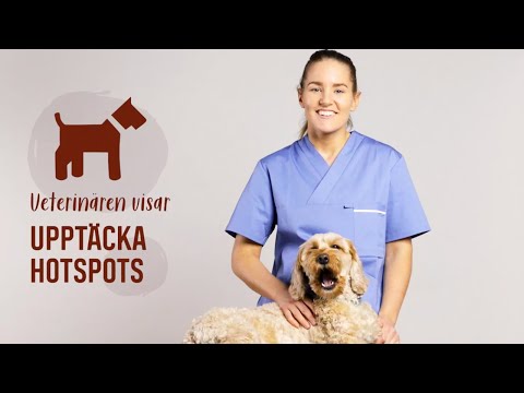 UPPTÄCK FUKTEKSEM I TID – SÅ HÄR GÖR DU