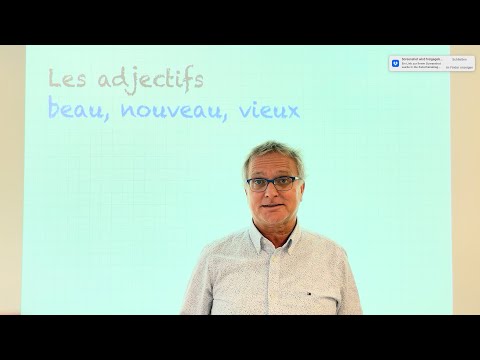 Les adjectifs beau, nouveau, vieux (2021)