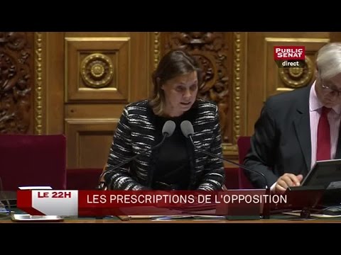 Invité: Patrick Pelloux - Le 22H (11/11/2014)