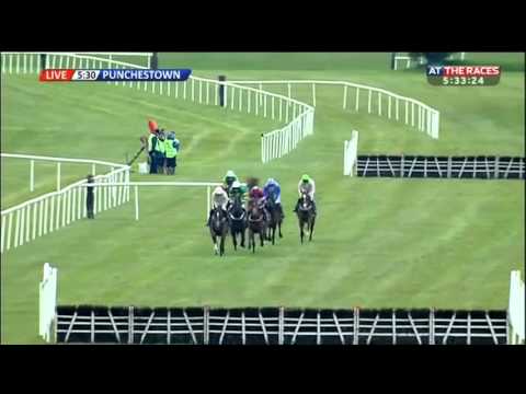 Vroum Vroum Mag - Betdaq Punchestown Champion Hurdle (Grade 1) - 2016
