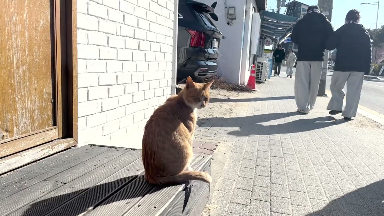 강서대학교 홍보누리 겨울방학 힐링여행 - YouTube