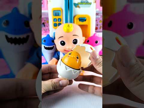 Satisfying with Unboxing & Review Miniature Boiling Egg | ASMR Video no music #asmrtoys #toyhouse