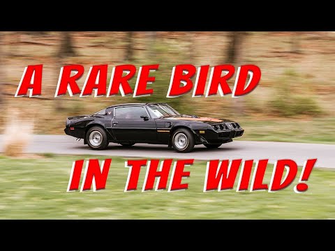 1979 Pontiac Firebird (CC-1462471) for sale in Rockville, Maryland