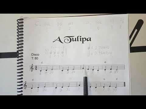 7.  Teclado I  - A Tulipa - Elton Alves