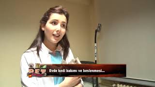 Pet - Dünyası - 11-12-2012 - Onur şahiner - Veteriner