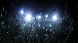 Butterfly Child - No Longer Living In Your Shadow