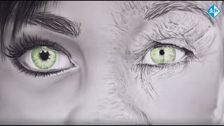 Dones i Art, a la casa del Mallol. Sant Hipòlit de Voltregà