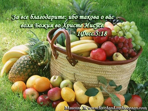 Seceriș 2020  Grupul de adolescenți