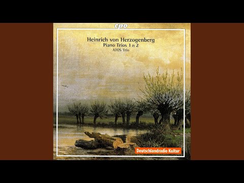 Piano Trio No. 1 in C Minor, Op. 24: I. Allegro