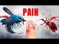 BITE Vs STING The Ultimate Pain Test Of 2024