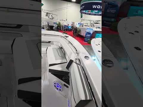 Blackfin Model Walkthrough