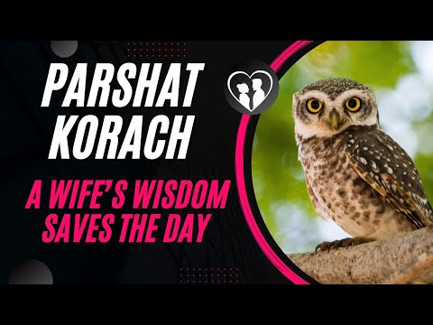 Parshat Korach 2024: What Does Korach Teach Us About Today’s News?