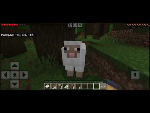 fast play de mine so com profissionais