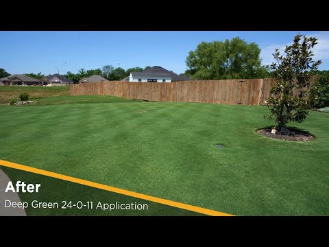 Intensify Your Lawn's Color with Deep Green 24-0-11 Professional-Grade Lawn Fertilizer