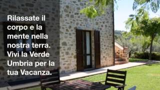 Agriturismo in Umbria,Week End o Vacanza in Agriturismo - Assisi