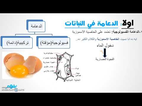 الدعامة في الكائنات الحية - أحياء - للثانوية العامة - نفهم