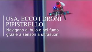 Usa, arrivano i droni pipistrello: navigano al buio e nel fumo grazie a sensori a ultrasuoni