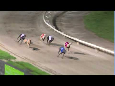 2020 LADBROKES STAYERS CLASSIC - HEAT 5 - T2 DADDYS PRINCE