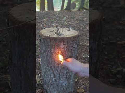 How to Make a Swedish Log Torch!