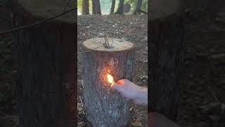 How to Make a Swedish Log Torch!