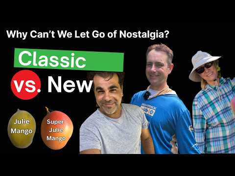 Best Mango Varieties Today vs Nostalgic Favorites