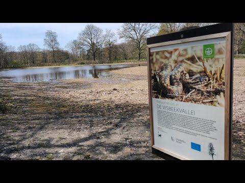 Beerse/Lille - 11.8km - Acht Zaligheden wandeling (9/10)