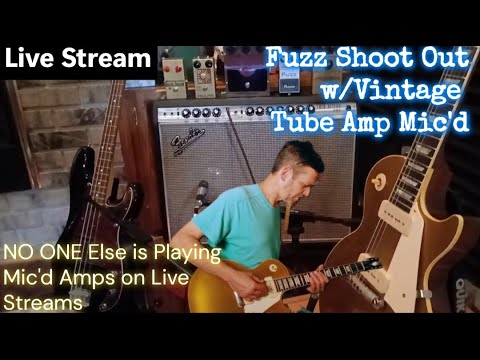 Fuzz Shootout through Mic'd Vintage Tube Amp #guitar #fuzz #live
