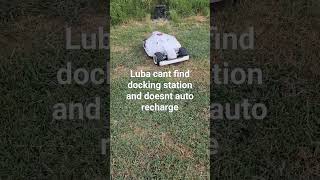 Luba Mammotion 5000 doesn't auto-recharge
