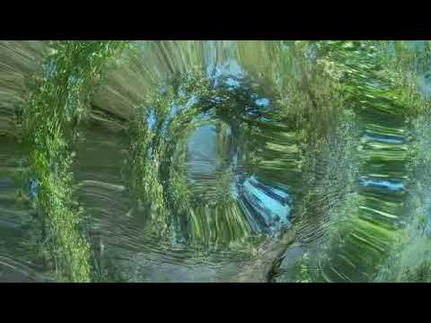 Enya Tribute: Crying Wolf