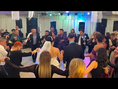 Live Viorel Pustiu -  Dragostea cu Anul @NicuPaleruOficial