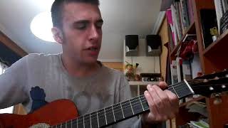 Stiff Little Fingers - Wasted Life (acoustic cover)