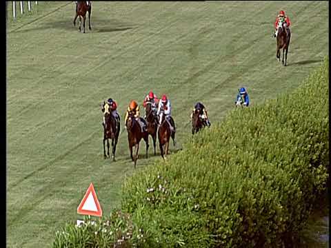 Galoppo 14/03/2019 - 5ª corsa