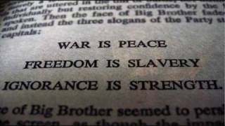 Mia Doi Todd - The Way (Album Version)