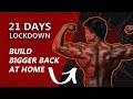 home based back workout