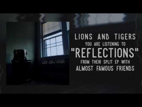 Lions And Tigers - Reflections