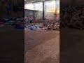 A Rotina Dos Presos Nas Cadeias Brasileira