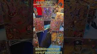 コンセプトコレクション1