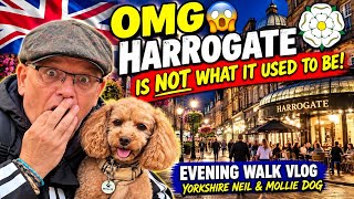 Do YOU think 🤔 HARROGATE is worth a visit? 