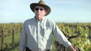 preview picture of video '2012 Winery of the Year - Borra Vineyards'