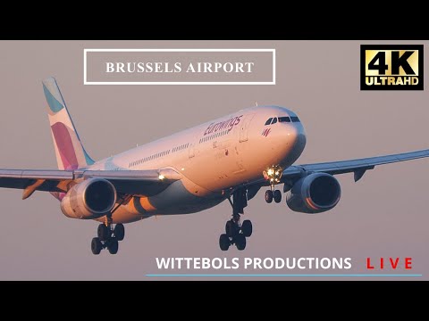 🔴LIVE 4K  BRUSSELS AIRPORT  EBBR  SPOTTING | 03/03/2023