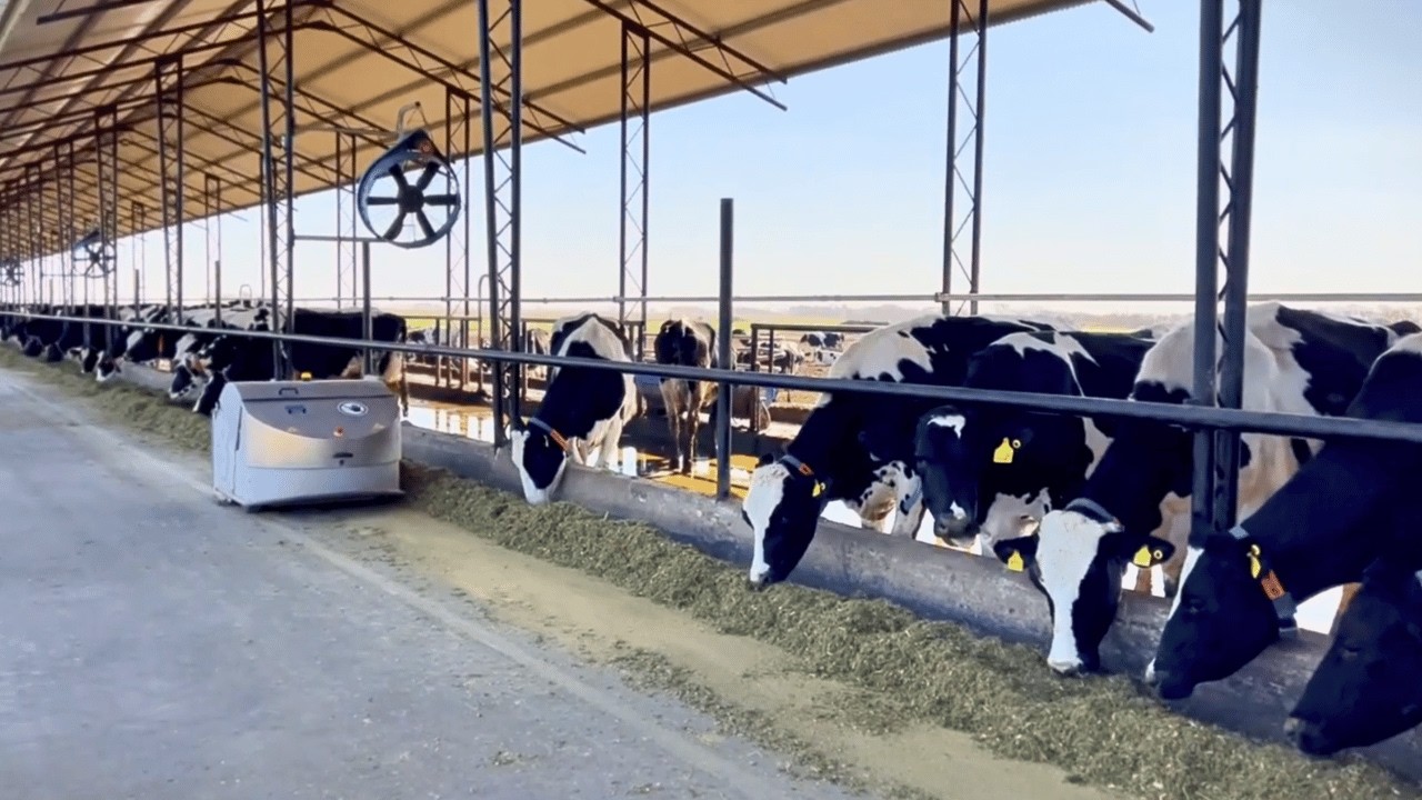 O principal PROBLEMA das FAZENDAS LEITEIRAS no BRASIL