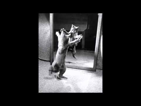 Indigs, Johny Gumble, Hriq - Tô Maluco