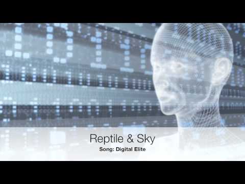 Digital Elite a song by Reptile & Sky