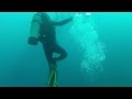 Seagull Dove Underwater Hunting The School Of Fish Mp4