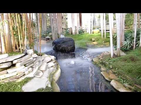 место медитации в Саду Бабочек